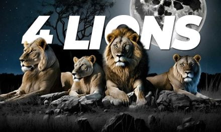 How to Unleash Your Lion Mentality: 10 Strategies to Embrace the Power of Lion Mindset