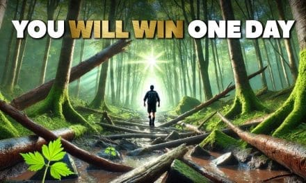 How to Win in Life: 20 Strategies for True Success