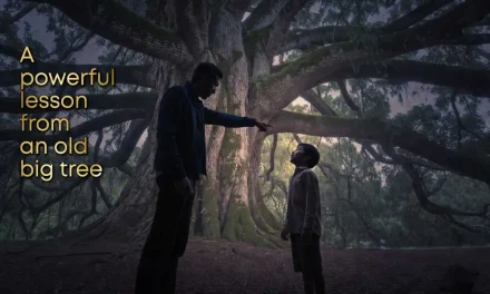 A Powerful Lesson from the Old Big Tree: Why Lasting Success Is Built in Silence